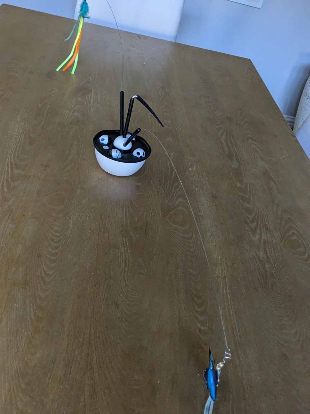 Interactive Cat Toy - White and Black